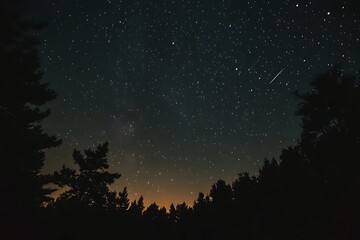 Naklejka premium A Night Sky Full of Stars Above an Untouched Natural Landscape