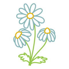 Flower chamomile. Daisy. Colorful outline doodle flower with stem and leaf. Vector hand drawn color sketch