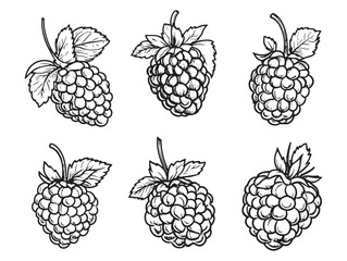 Vibrant and Healthy Fresh Berries on Wooden Table