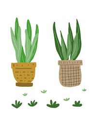 Rustic Houseplant in Handmade Pot