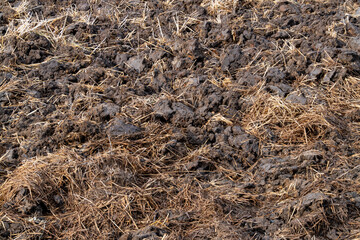 Ground-level view of sustainable agricultural practices for soil management in rural environments