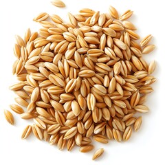 A close-up overhead shot shows a pile of uncooked spelt grains isolated on a bright white background.
