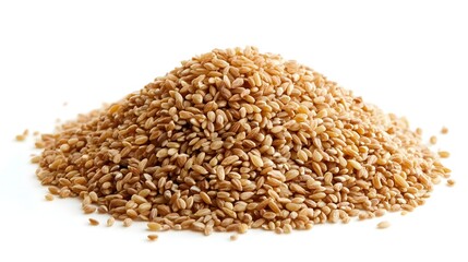 Fototapeta premium A large pile of uncooked farro grains sits on a plain white background ready for cooking or use in recipes.