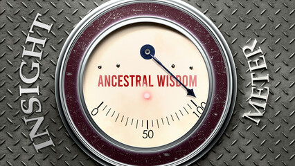 Ancestral Wisdom and Insight that is hitting a full scale, showing a very high level of ancestral wisdom, overload of it, too much of it. Maximum value, off the charts.  ,3d illustration