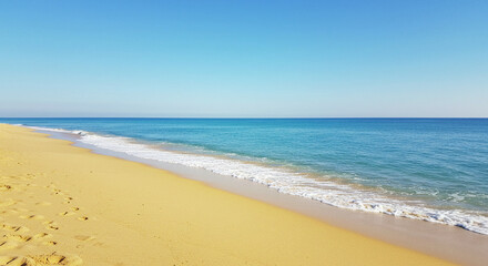 Beach Scene with Blue Ocean and Golden Sand Under a Clear Sky