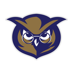 OWL HEAD MASCOT LOGO DESIGN