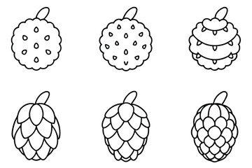 noni line art artistic illustration of tropical fruit