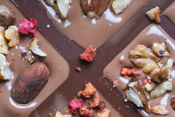 Handmade chocolate close-up. Assorted chocolate with almonds, freeze-dried raspberries and strawberries. . Background for using banners and menus