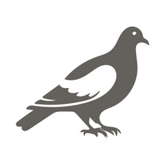 Obraz premium Pigeon silhouette sitting on a branch in a vector illustration with other bird design elements