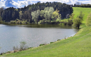 springtime at a small lake