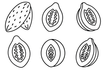 papaya line art illustration with elegant floral accents