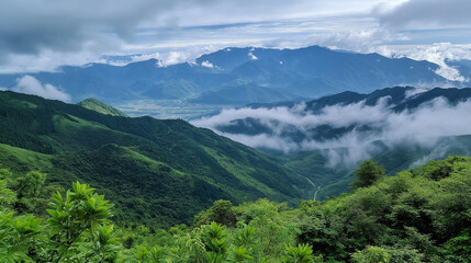 Obraz premium A versatile stock image showing stunning alpine landscape: towering mountains cradle verdant spruce-fir forests underneath stormy skiesorbreathtaking alpine scenery: majestic mountains envelop.
