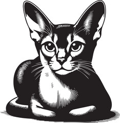 Black and White Abyssinian Cat Vector Illustration – Minimalist Feline Art