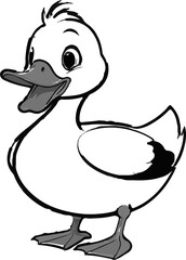 Fototapeta premium vector illustration of a duck