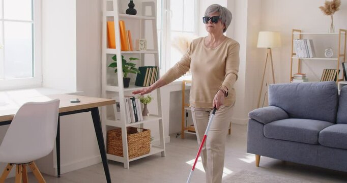 Blind senior disabled woman with cane walking in living room at home. Female elderly person with crutch indoors. Blindness, disability and vision problems concept. 4k video. Slow motion video.