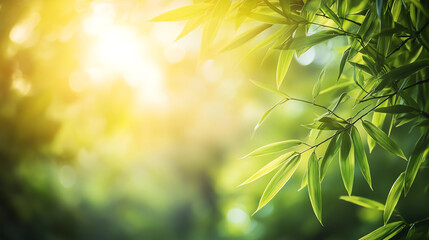 Fototapeta premium Sunlight Through Bamboo Leaves: Peaceful Nature Scene