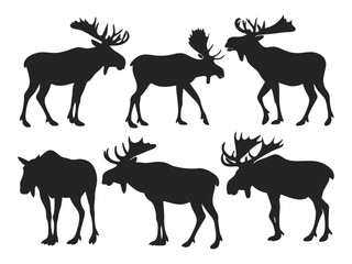 Set of Moose Silhouettes in Various Poses - Wildlife Vector Collection.