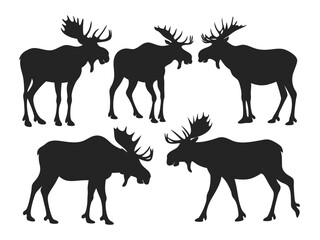 Set of Moose Silhouettes in Various Poses - Wildlife Vector Collection.