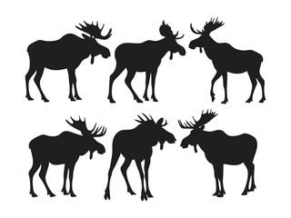 Set of Moose Silhouettes in Various Poses - Wildlife Vector Collection.
