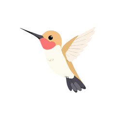 Refined Iconic Hummingbrid Illustration