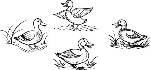 a duck logo, vector icon