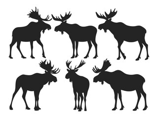 Fototapeta premium Set of Moose Silhouettes in Various Poses - Wildlife Vector Collection.