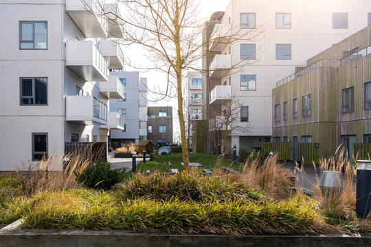 Low-rise buildings in Ørestad, Copenhagen with planted public space and soft landscape. Urban ecology integrated with modern residential design.