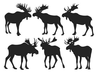 Set of Moose Silhouettes in Various Poses - Wildlife Vector Collection.