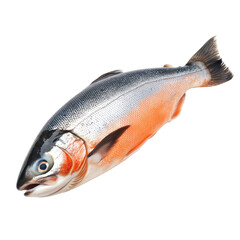 Freshly caught trout displayed with shimmering scales and vibrant colors, perfect for a gourmet meal preparation