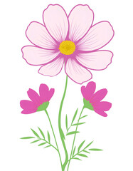 Simple flat illustration of cosmos flowers isolated on a transparent background
