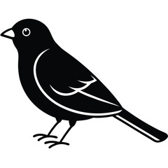 vector illustration of a bird