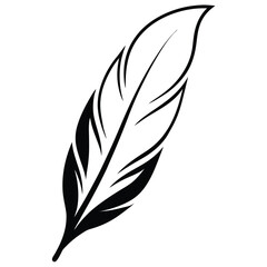 Obraz premium feather on white background