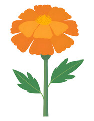 Illustration of an orange marigold flower with stem and leaves, isolated on a transparent background