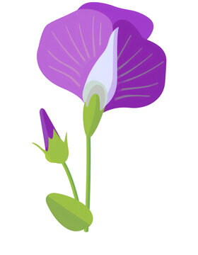 purple flower blossom green stem white background clip art preview