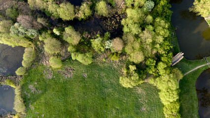 Green field with trees and a path