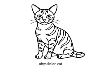 abyssinian cat line art illustration