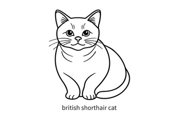 brown bear line art illustration