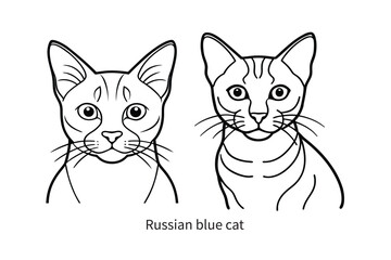 russian blue cat fine line illustration