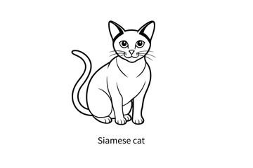siamese cat modern line drawing