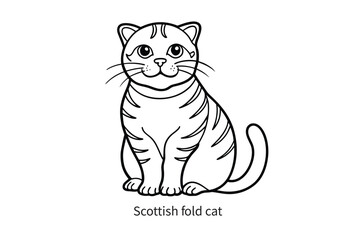 Scottish fold cat minimalist line art