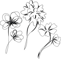 Elegant Black Line Art Flowers Botanical Illustration Set