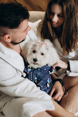 Couple wearing bathrobes embracing adorable dog in hotel room