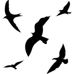 Flying Birds Silhouette