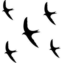 Flying Birds Silhouette