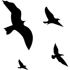 Flying Birds Silhouette