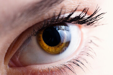 Macro shots of human eyes. Shallow DOF. Developed from RAW; retouched with special care and...