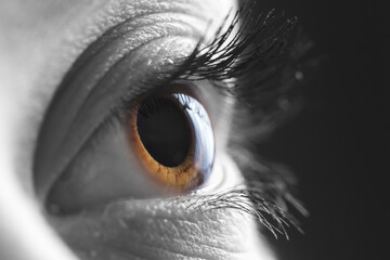 Macro shots of human eyes. Shallow DOF. Developed from RAW; retouched with special care and attention; Small amount of grain added for best final impression. 16 bit Adobe RGB color profile.