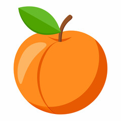 vector illustration of an orange fruit