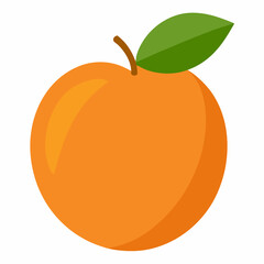 orange vector illustration