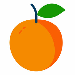 orange fruit vector illustration